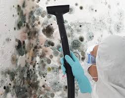 Reliable Woodlands, CA Mold Prevention & Removal  Solutions